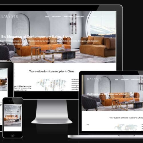 Ecommerce Website with Salient Theme