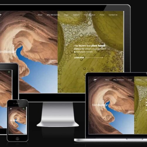 Figma to WordPress conversion