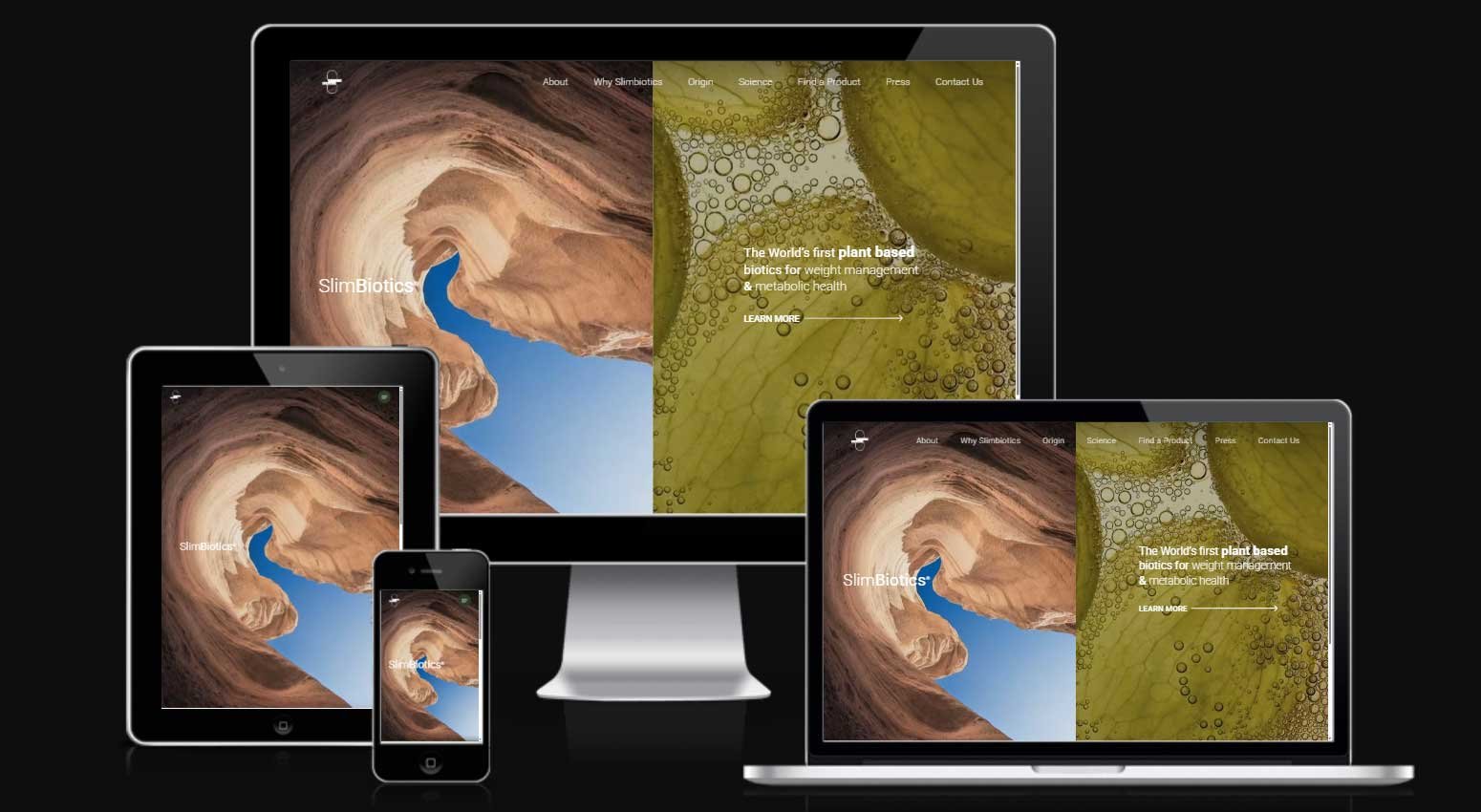 Figma to WordPress conversion